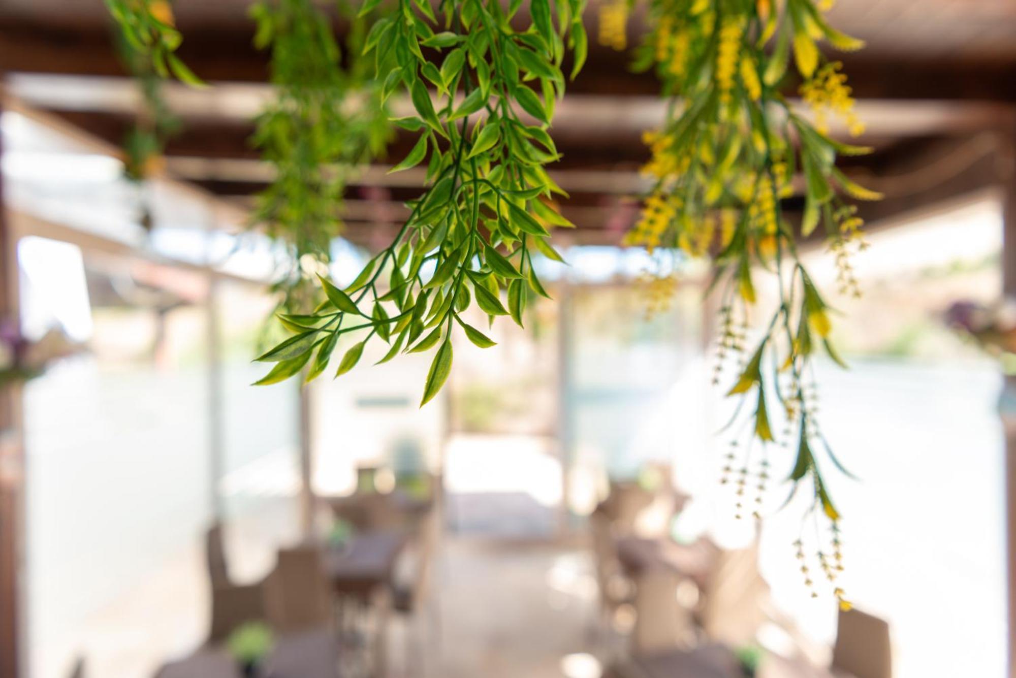 B&B Tenuta Barone Gallipoli Eksteriør bilde